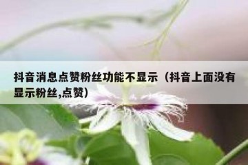 抖音消息点赞粉丝功能不显示（抖音上面没有显示粉丝,点赞）
