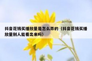 抖音花钱买播放量是怎么弄的（抖音花钱买播放量别人能看出来吗）