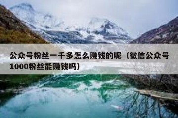 公众号粉丝一千多怎么赚钱的呢（微信公众号1000粉丝能赚钱吗）