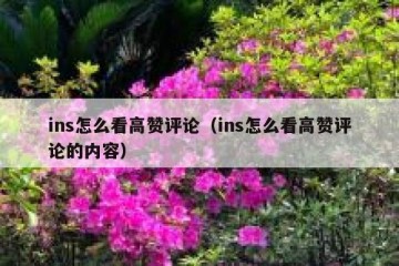 ins怎么看高赞评论（ins怎么看高赞评论的内容）