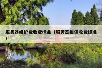 服务器维护费收费标准（服务器维保收费标准）
