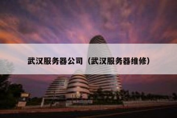武汉服务器公司（武汉服务器维修）