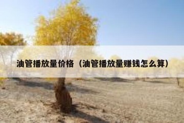 油管播放量价格（油管播放量赚钱怎么算）