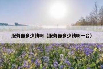 服务器多少钱啊（服务器多少钱啊一台）