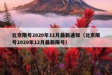 北京限号2020年11月最新通知（北京限号2020年12月最新限号）
