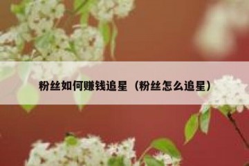 粉丝如何赚钱追星（粉丝怎么追星）