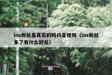 ins粉丝是真实的吗抖音视频（ins粉丝多了有什么好处）