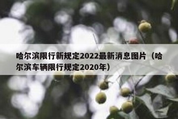 哈尔滨限行新规定2022最新消息图片（哈尔滨车辆限行规定2020年）