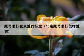 尾号限行北京处罚标准（北京尾号限行怎样处罚）