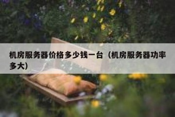 机房服务器价格多少钱一台（机房服务器功率多大）