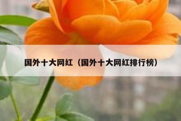 国外十大网红（国外十大网红排行榜）