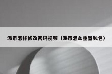 派币怎样修改密码视频（派币怎么重置钱包）