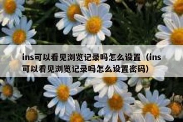 ins可以看见浏览记录吗怎么设置（ins可以看见浏览记录吗怎么设置密码）