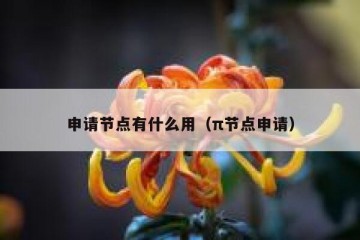 申请节点有什么用（π节点申请）