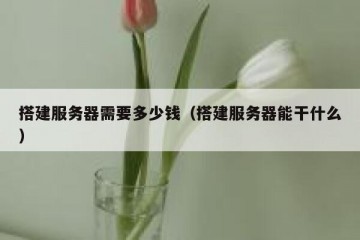 搭建服务器需要多少钱(搭建服务器能干什么)