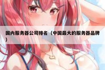 国内服务器公司排名（中国最大的服务器品牌）