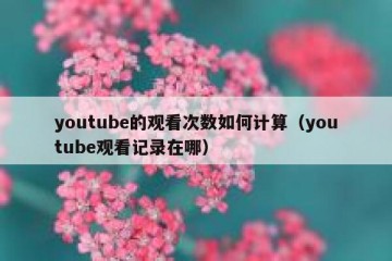 youtube的观看次数如何计算（youtube观看记录在哪）