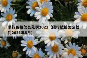 限行被拍怎么处罚2021（限行被拍怎么处罚2021年8月）
