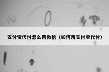 支付宝代付怎么用微信（如何用支付宝代付）