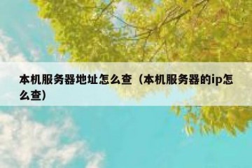 本机服务器地址怎么查（本机服务器的ip怎么查）