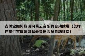 支付宝如何取消网易云音乐的自动续费（怎样在支付宝取消网易云音乐会员自动续费）