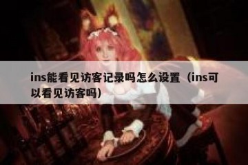ins能看见访客记录吗怎么设置（ins可以看见访客吗）