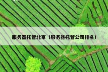 服务器托管北京（服务器托管公司排名）