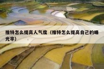 推特怎么提高人气度（推特怎么提高自己的曝光率）