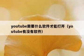 youtube需要什么软件才能打开（youtube有没有软件）