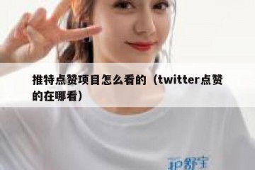 推特点赞项目怎么看的（twitter点赞的在哪看）