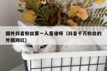国外抖音粉丝第一人是谁呀（抖音千万粉丝的外国网红）