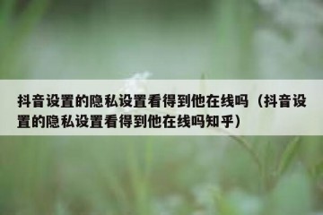 抖音设置的隐私设置看得到他在线吗（抖音设置的隐私设置看得到他在线吗知乎）