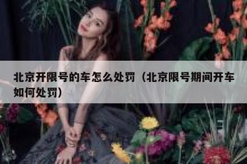北京开限号的车怎么处罚（北京限号期间开车如何处罚）