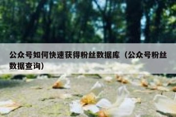公众号如何快速获得粉丝数据库（公众号粉丝数据查询）