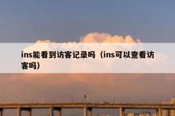 ins能看到访客记录吗（ins可以查看访客吗）