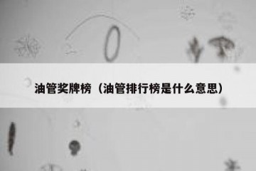 油管奖牌榜（油管排行榜是什么意思）