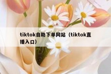 tiktok自助下单网站（tiktok直播入口）