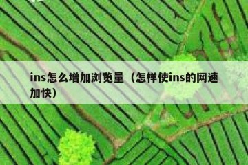 ins怎么增加浏览量（怎样使ins的网速加快）