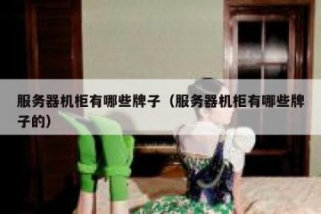 服务器机柜有哪些牌子（服务器机柜有哪些牌子的）
