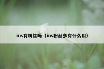 ins有粉丝吗（ins粉丝多有什么用）