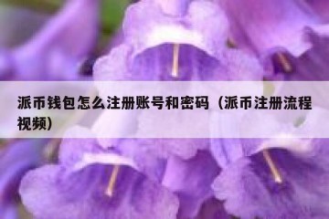 派币钱包怎么注册账号和密码（派币注册流程视频）