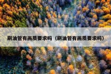 刷油管有画质要求吗（刷油管有画质要求吗）