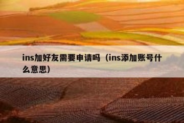 ins加好友需要申请吗（ins添加账号什么意思）