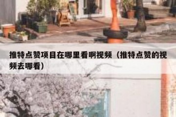 推特点赞项目在哪里看啊视频（推特点赞的视频去哪看）