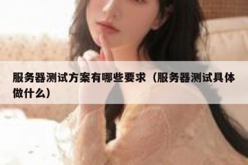 服务器测试方案有哪些要求（服务器测试具体做什么）