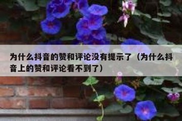 为什么抖音的赞和评论没有提示了（为什么抖音上的赞和评论看不到了）