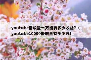 youtube播放量一万能有多少收益?（youtube10000播放量有多少钱）