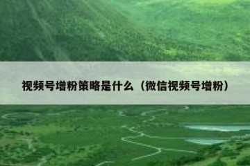 视频号增粉策略是什么（微信视频号增粉）