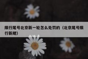 限行尾号北京新一轮怎么处罚的（北京尾号限行新规）
