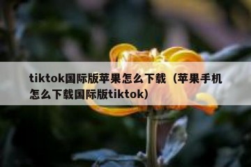 tiktok国际版苹果怎么下载（苹果手机怎么下载国际版tiktok）